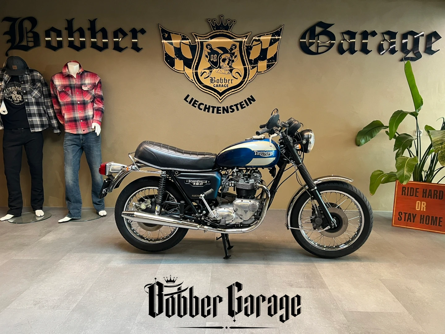 Bobber Occasion Triumph Bonneville T140 01