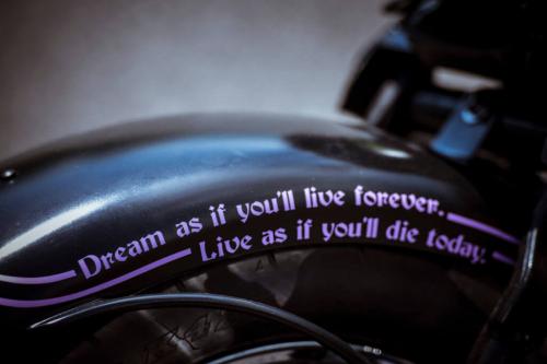 Lucky-13-10-1024x683