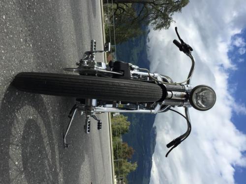 IMG 7365-e1474455556987-768x1024