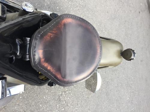 IMG 7377-e1474456145213-768x1024