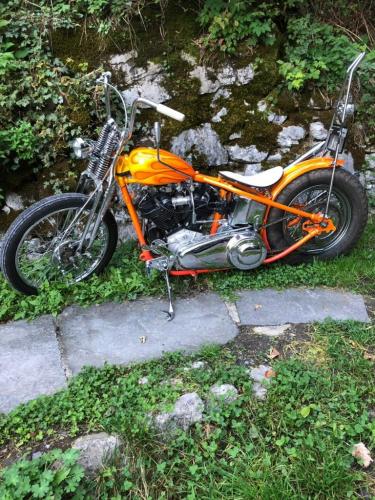 3c970760-a1c4-44f2-967c-2928dafa6b4a-768x1024