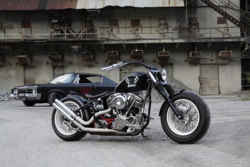 Black Lady Shovelhead