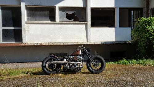 Brown Bobber Hardtail