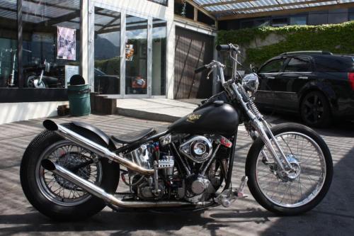 Reinis-Shovel-1948-33-1024x682